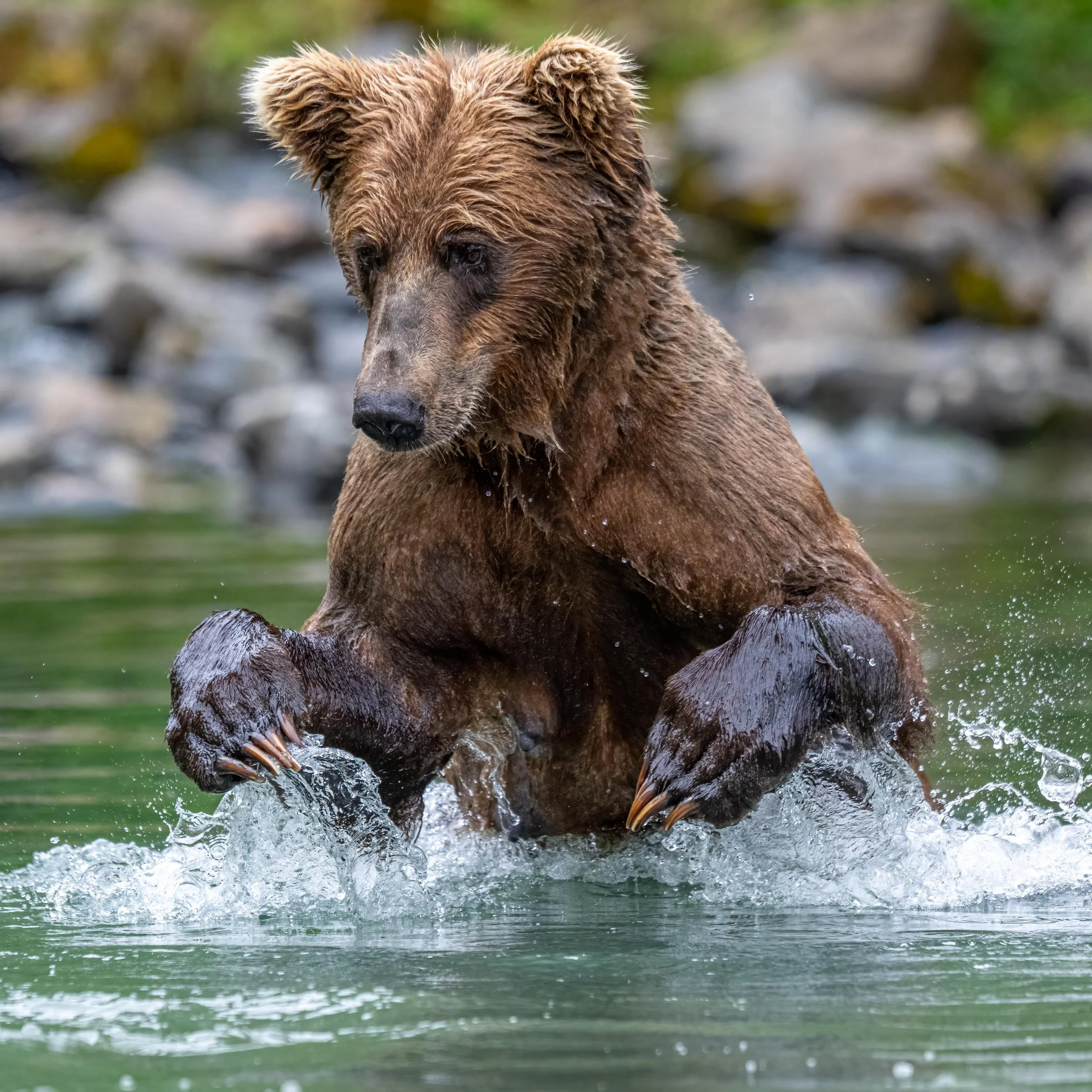 DSC_2769-Edit.jpg