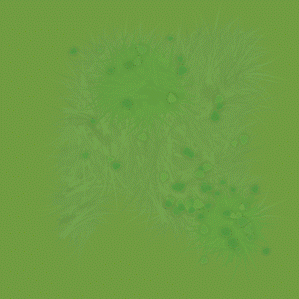 8.20.22 Gif 20.gif