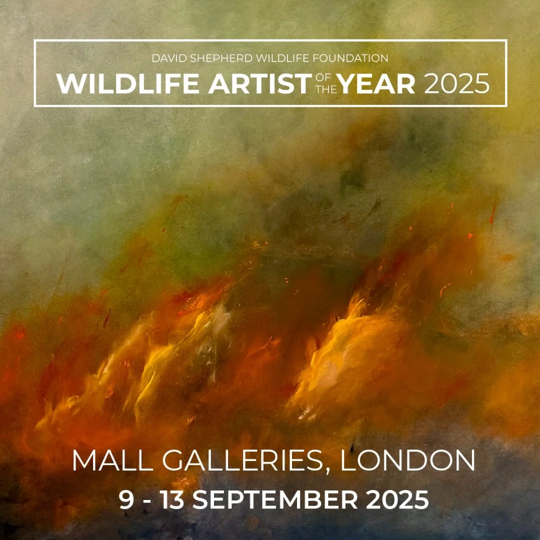 &lsquo;Infernal&rsquo;
Framed 80 x 70cm
_____

This is my second submission for the esteemed DSWF Wildlife Artist of the Year 2025. My paintings often revolve around three pivotal themes: nature, the environment, and conservation. This particular pie
