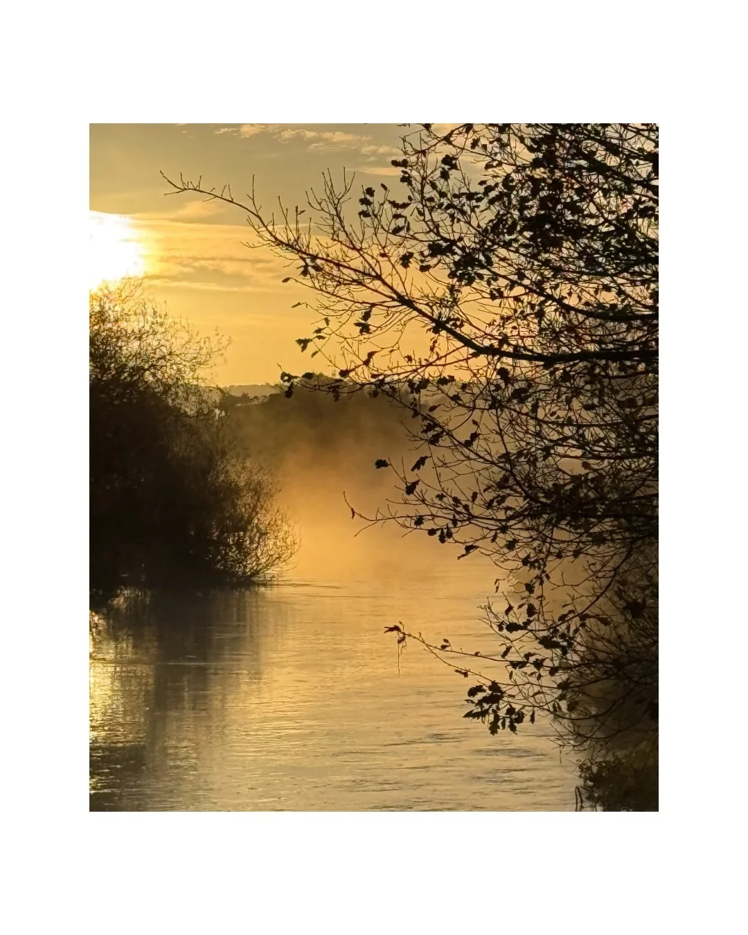 Nature&rsquo;s beautiful reward for early, frosty starts. These from a few days ago &ndash; but it was a spectacular sunrise across the fields; crunchy ice and the most stunning array of colour across the skyscape; delicate yet hardy berries coated i