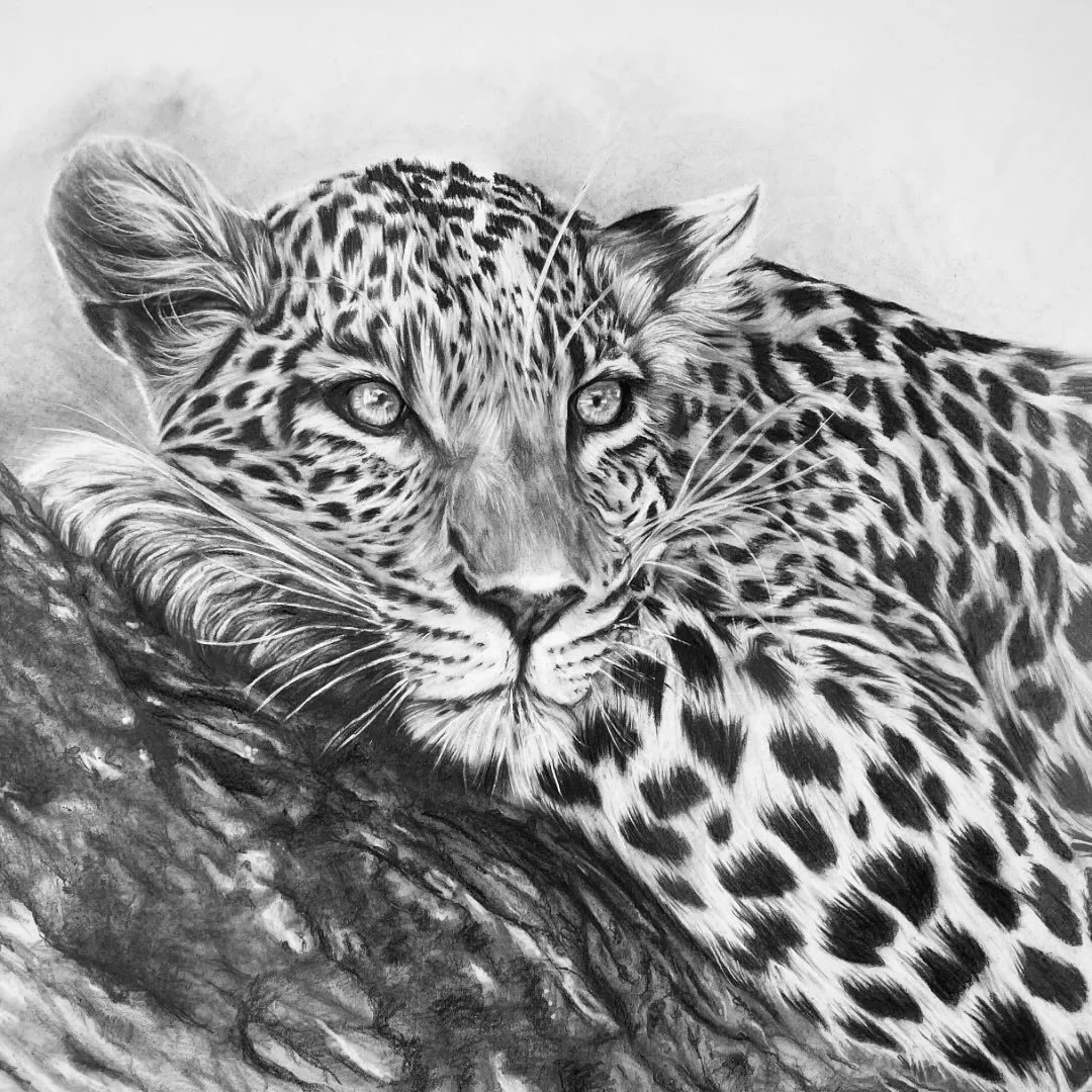 Apart from the wife, the cat and gin &ndash; drawing is one of my two loves (the other is painting!); and these ten fabulous beings are all showing as part of the &lsquo;Heartlands&rsquo; exhibition @thefountaingallery Hampton Court.

1 . Creating th