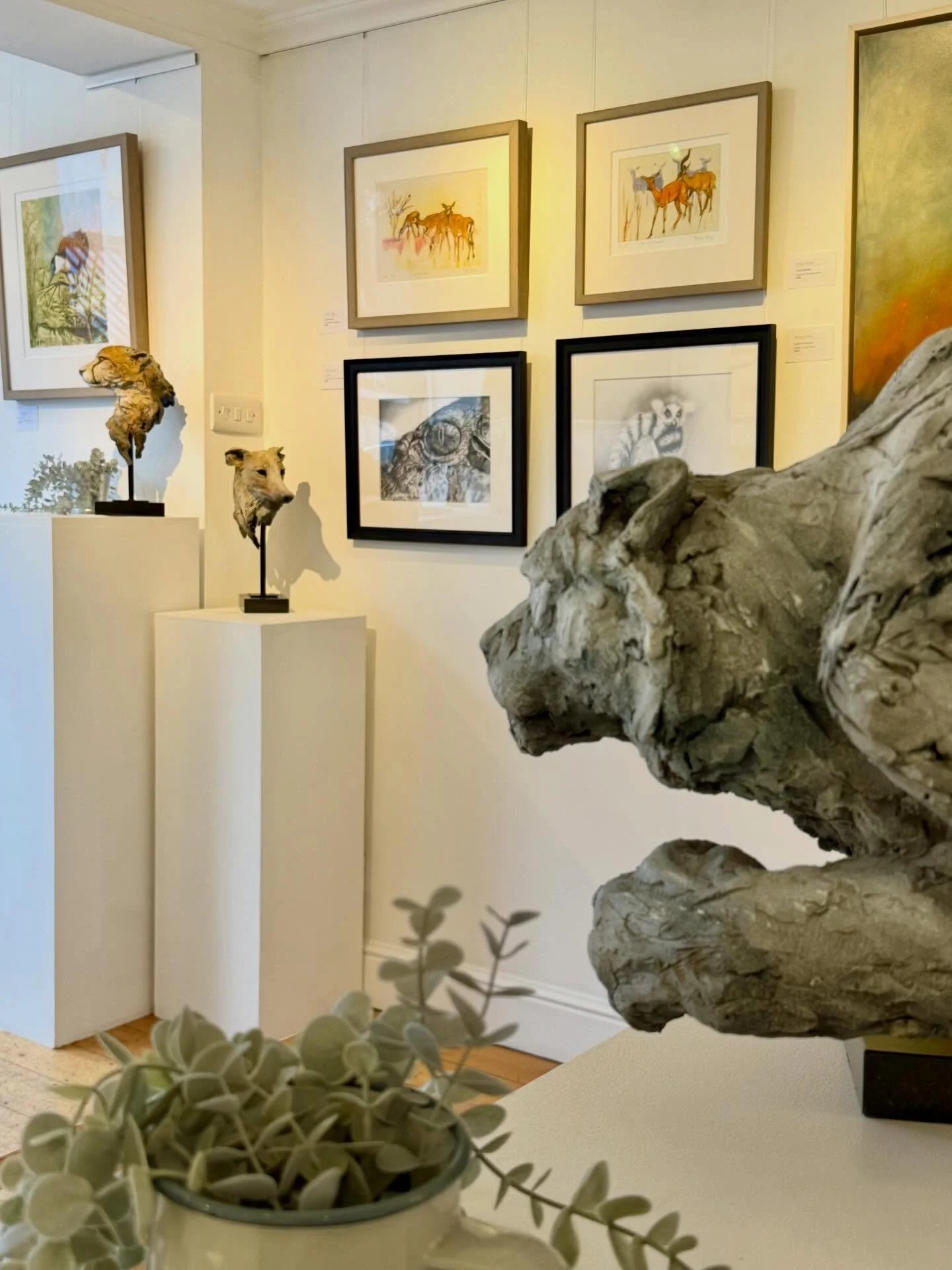 Wonderful to come into the gallery today, and wish Good Morning to all these fabulous beings!

We are three artists who met as finalists at @dswfwildlife Wildlife Artist of the Year &ndash; a painter, a printmaker, a sculptor &ndash; our work celebra