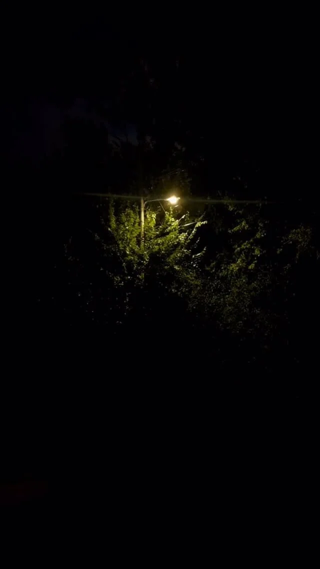 autumnal equinox. 🍂