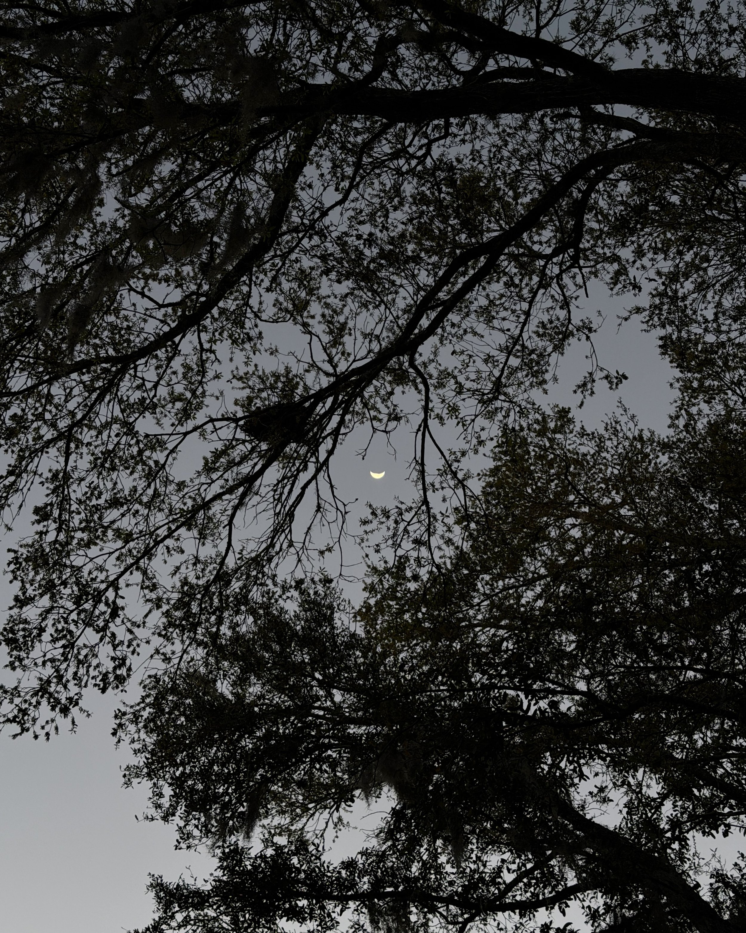IMG_8553.jpeg