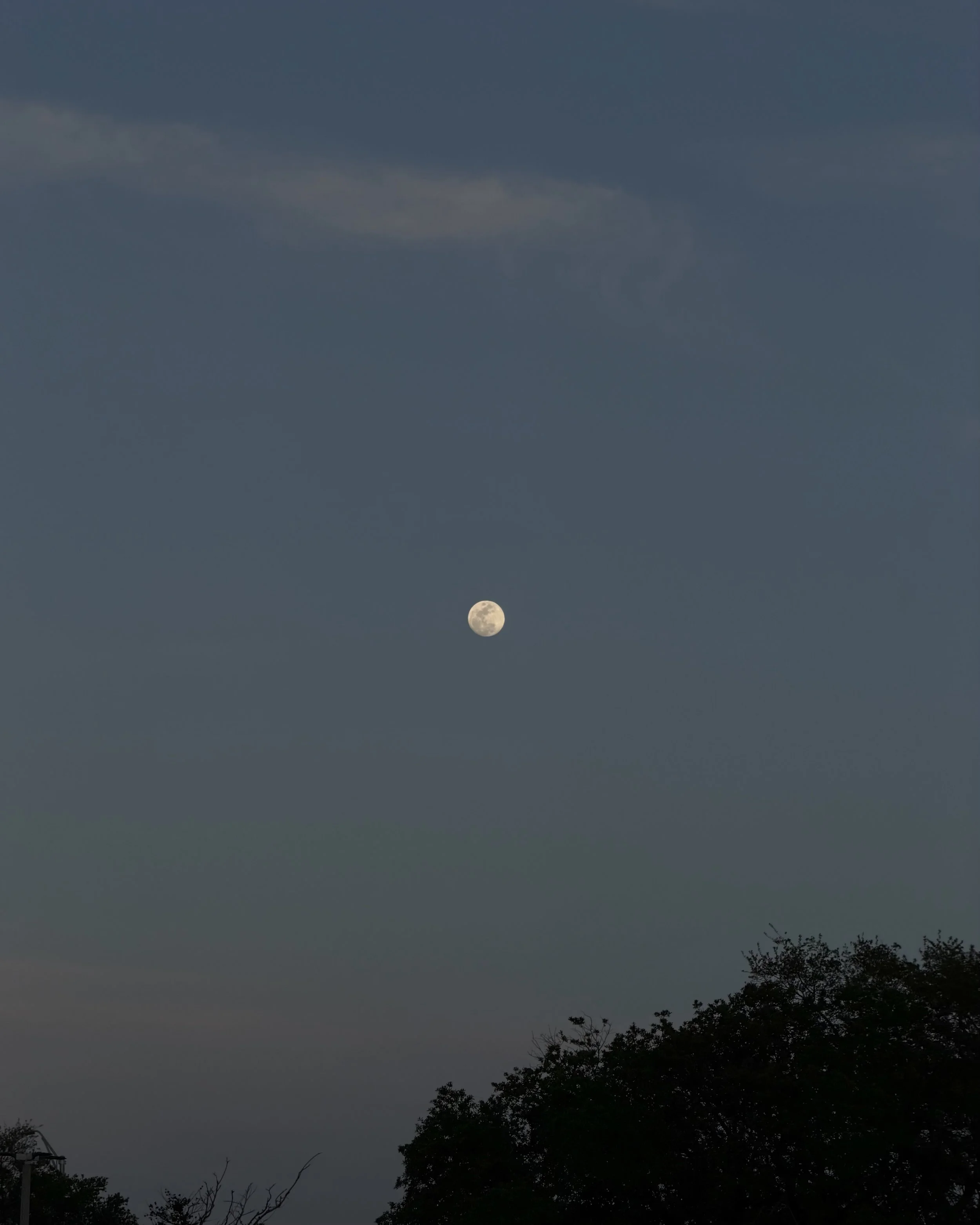 IMG_0021.jpeg