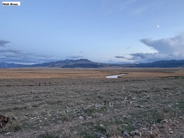 December 2025 Water Report