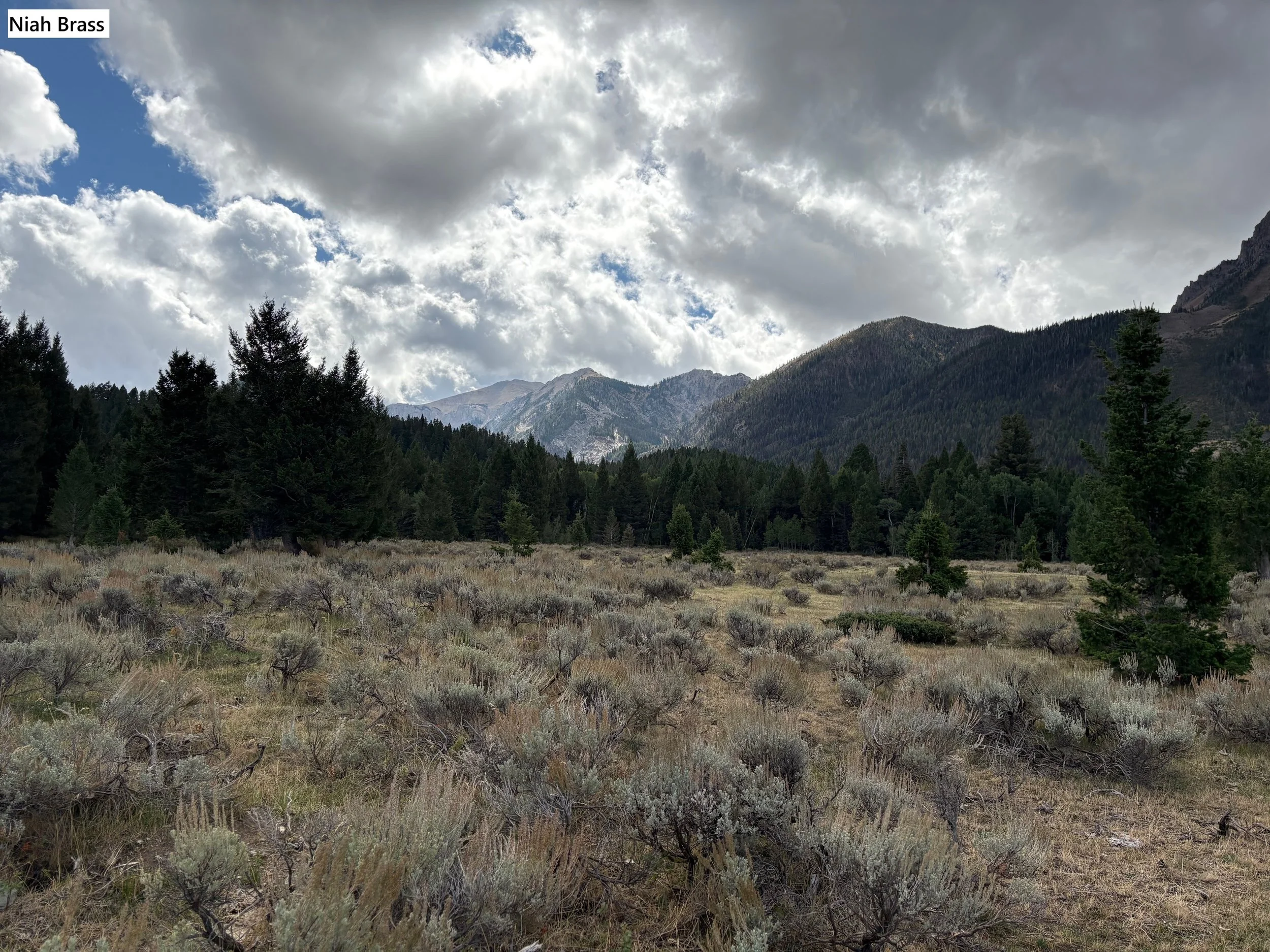 December 2025 Water Report