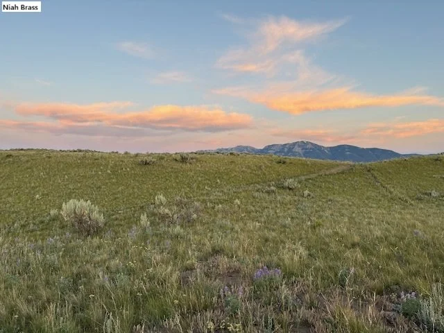 January 2026 Water Topic