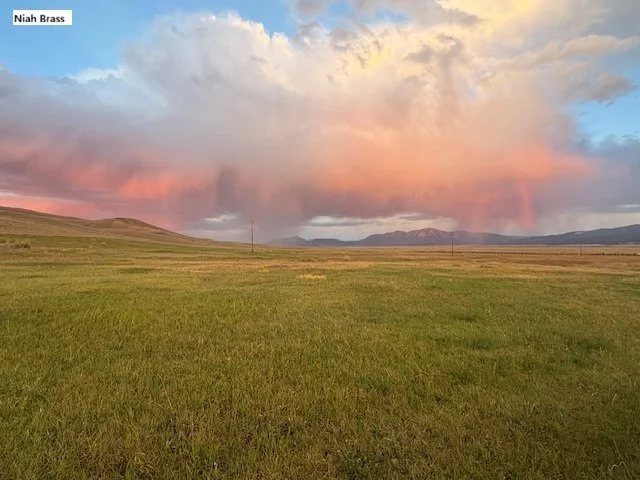 January 2026 Water Topic