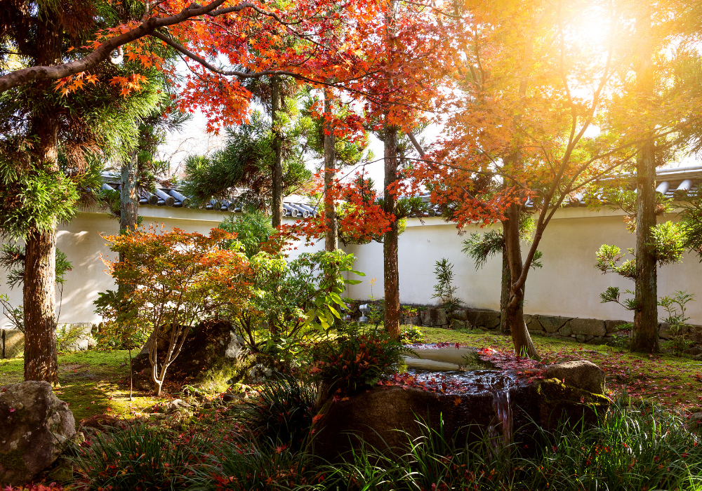 Preparing & Growing a Fall Garden