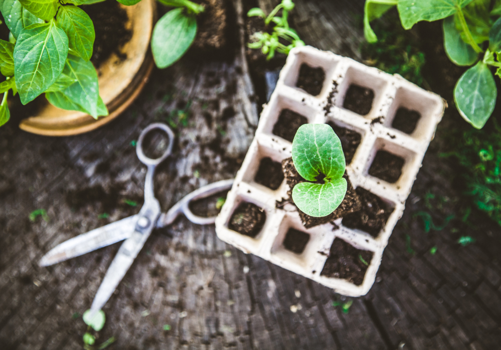 The Joy of Propagation 2026
