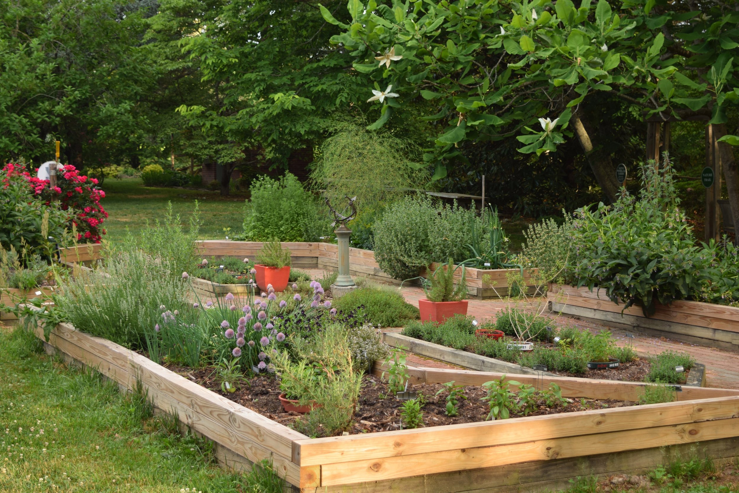 Herb Garden