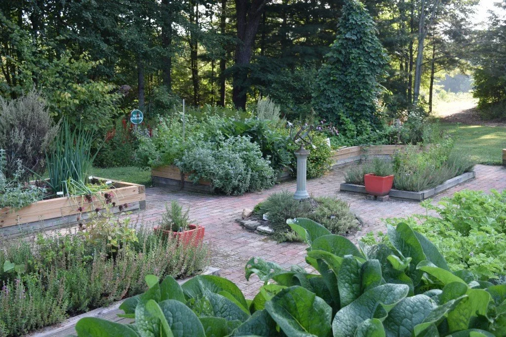 Herb Garden