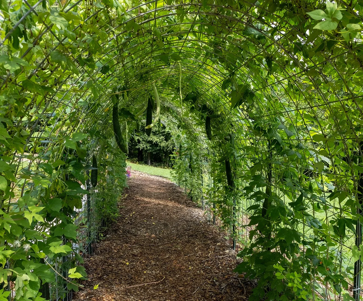 Butterfly Breezeway