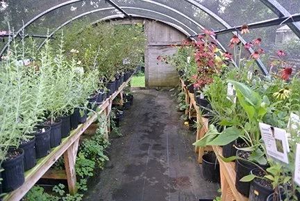 Hoop House