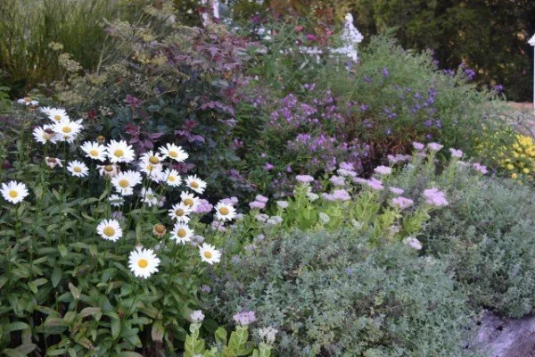 Pollinator Garden