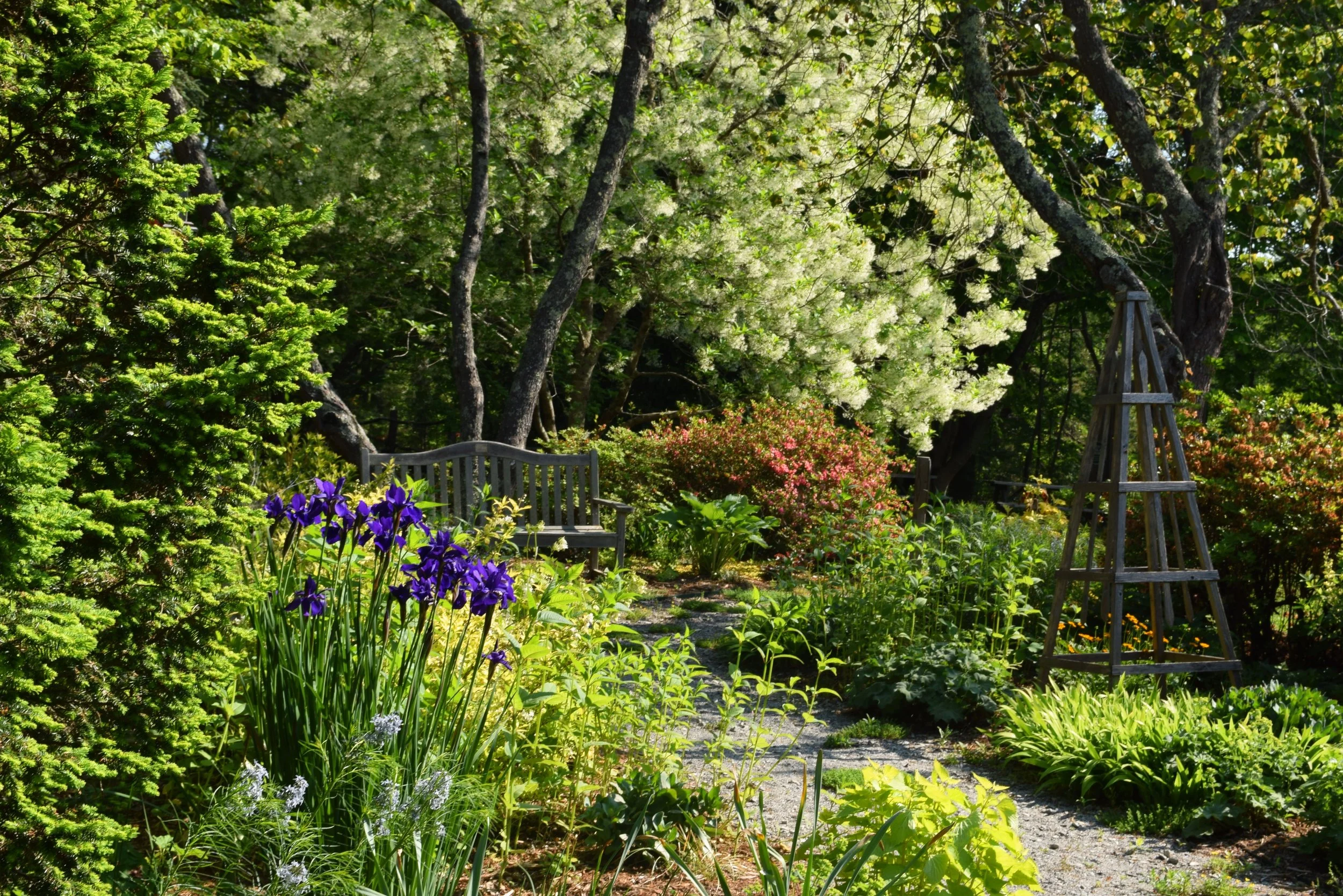 Sally's Garden