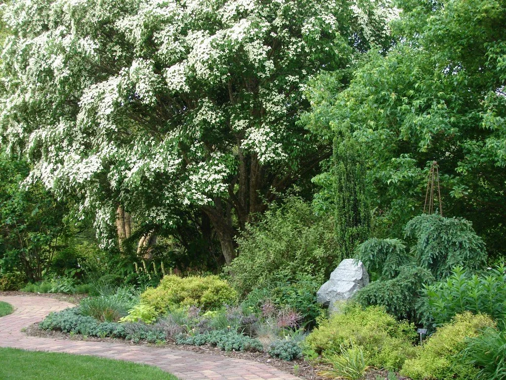Perennial Borders