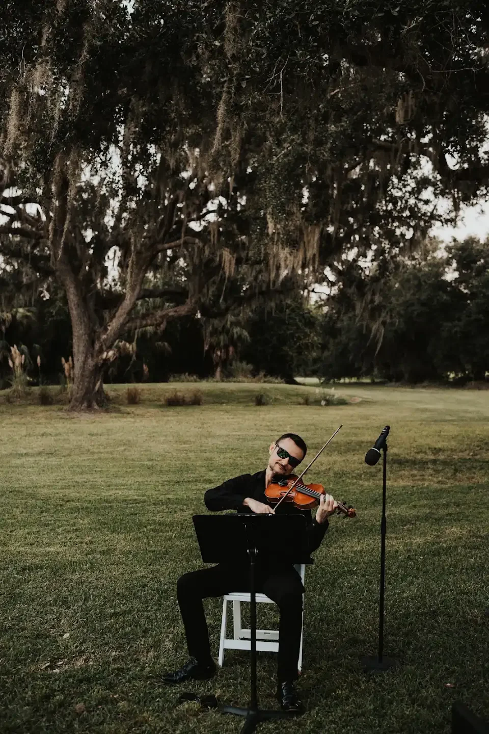 Sunset Strings violinist performing on a wide lawn beneath live oaks at Sugar Barn in Florida.