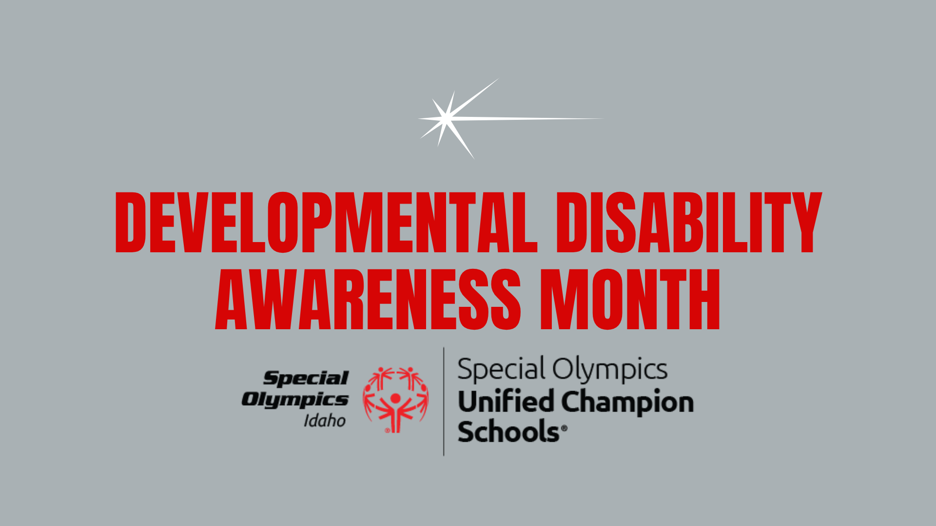 Developmental Disability Awareness Month 