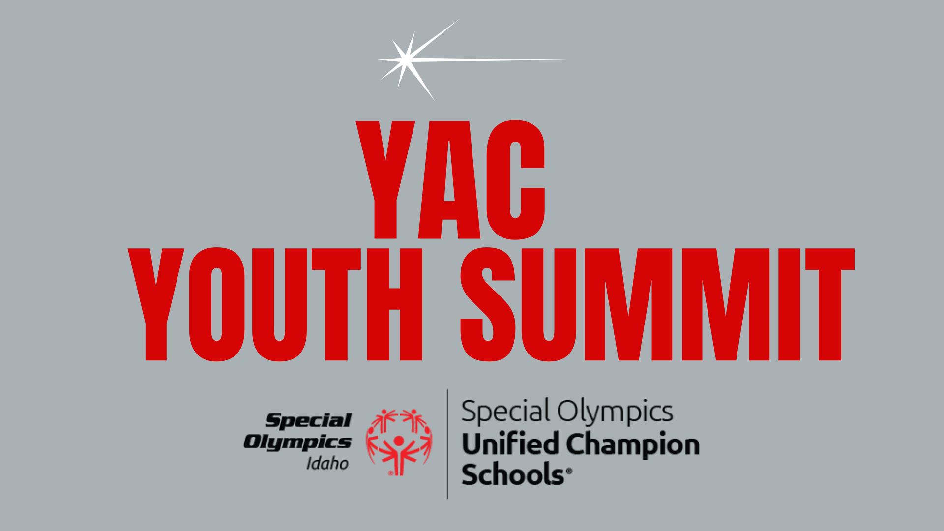 YAC Youth Summit 