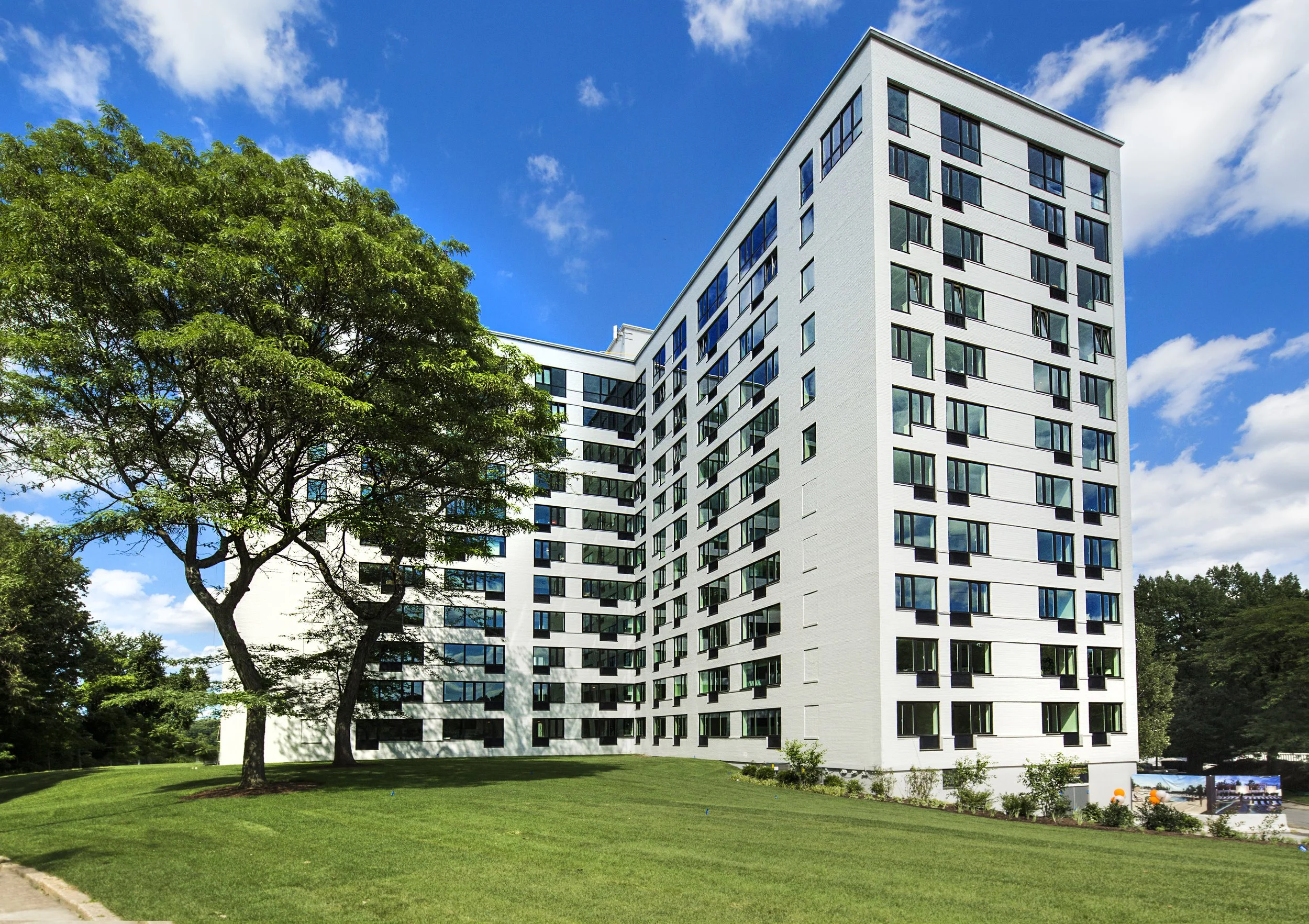 Copy of 139A9298.jpg