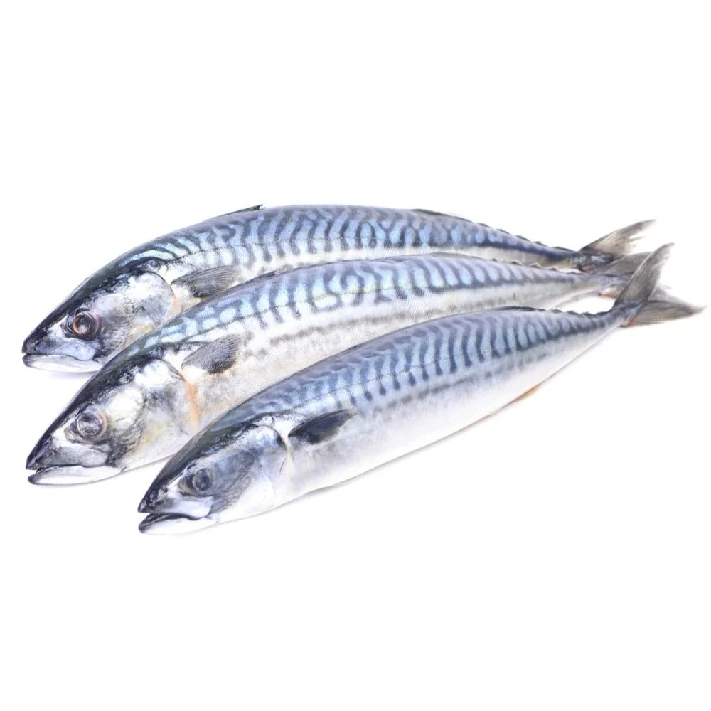 Frozen Mackerel 