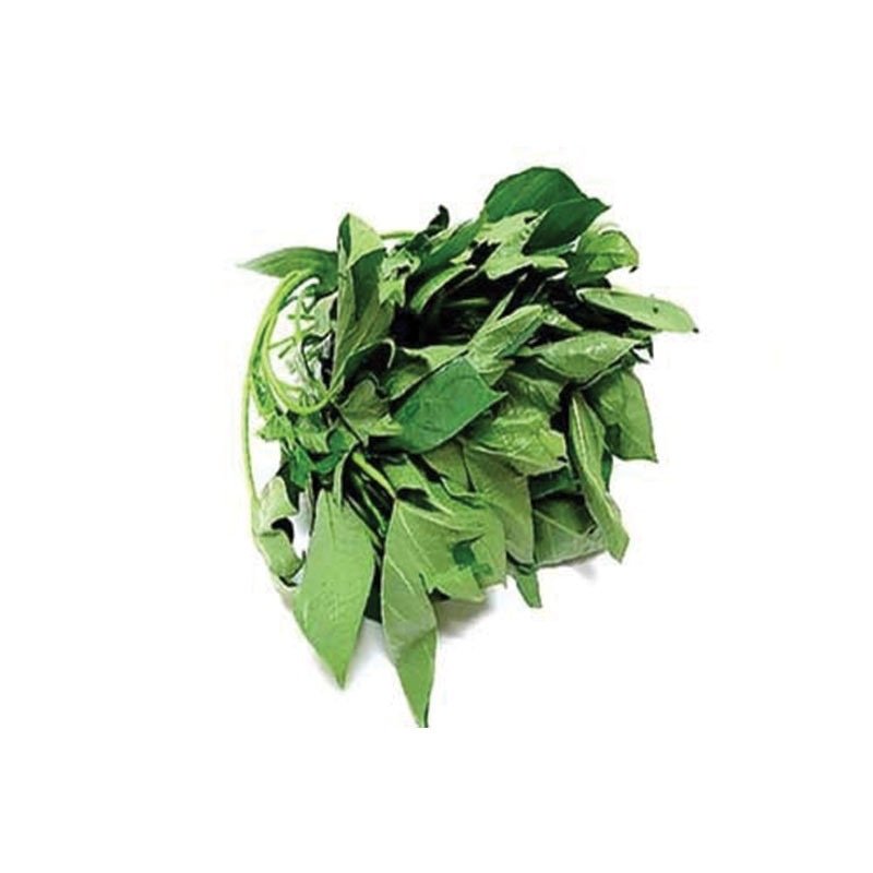 Fresh Bitter Leaf Bunch