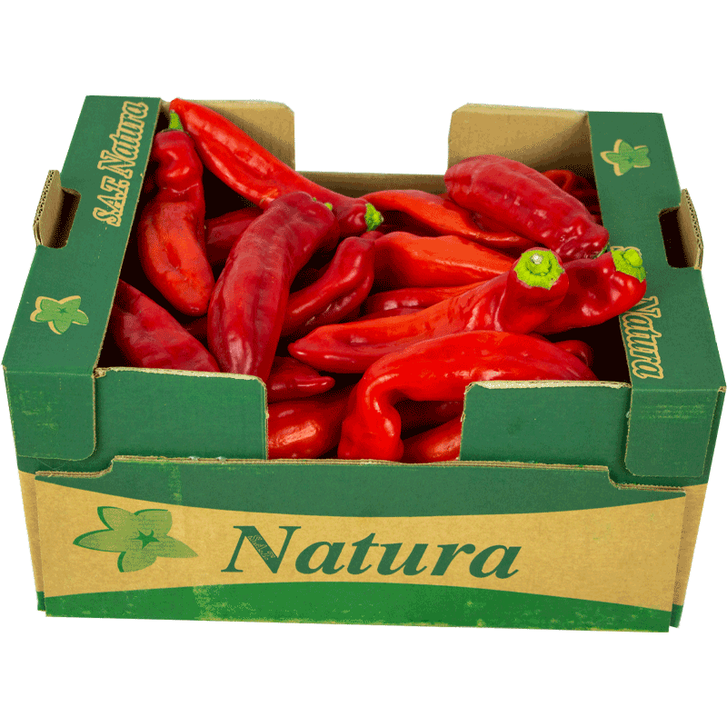 Fresh Long Red Pepper