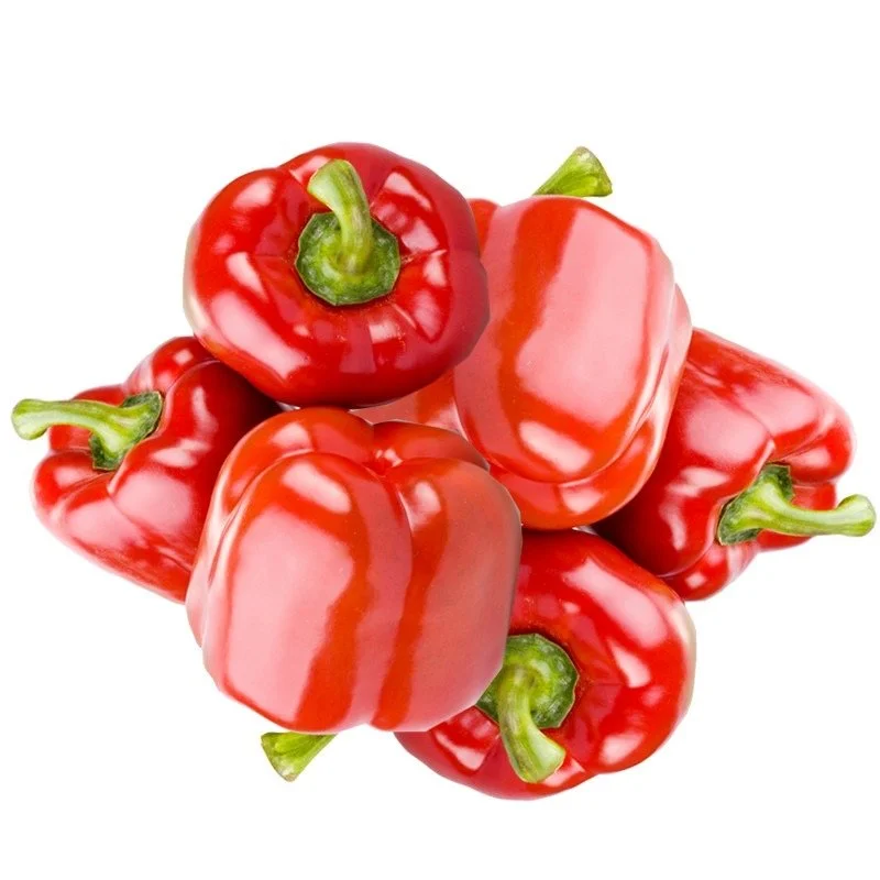 Fresh Red Bell Pepper