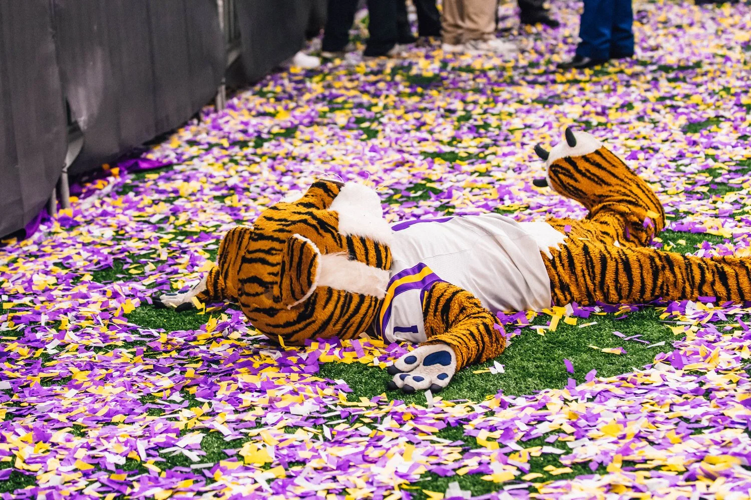 LSUFootballJordanHeflerPhotographer_LSUvsClemson_JH1_5518.jpeg