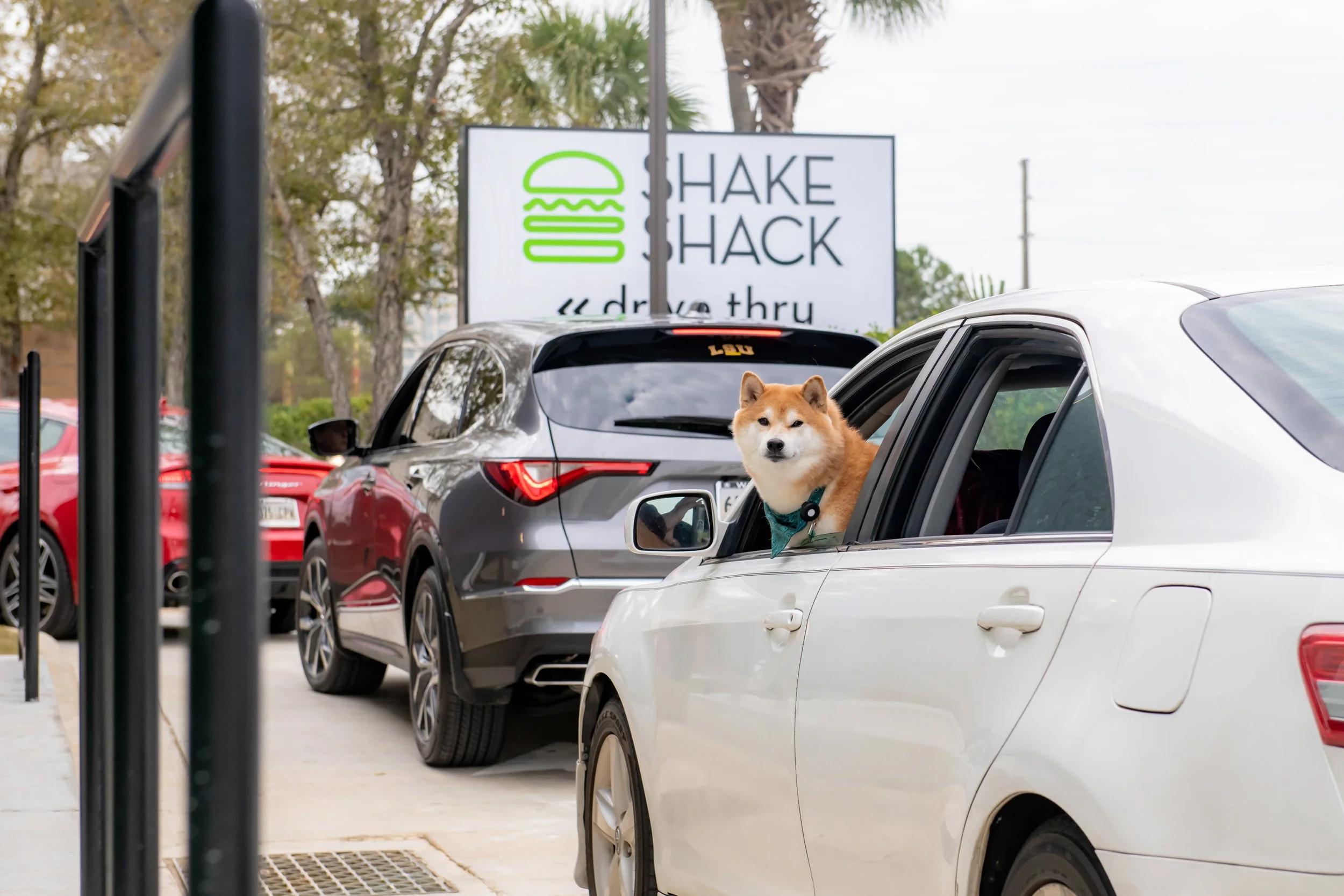 JordanHefler_ShakeShack_CommercialPhotography_9.jpg