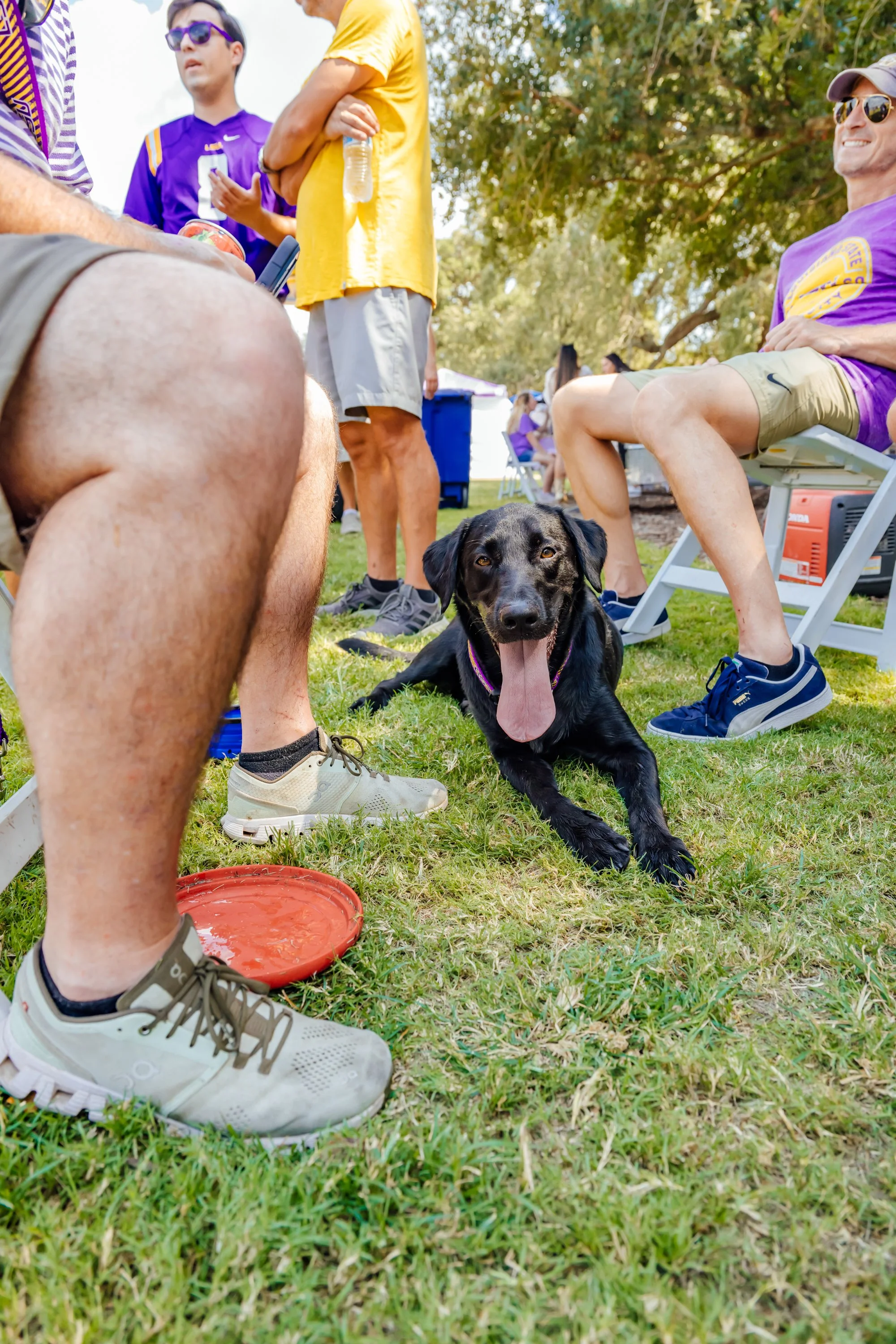 JordanHefler_LSUvsArkansas_SportsPhotography__7.jpg