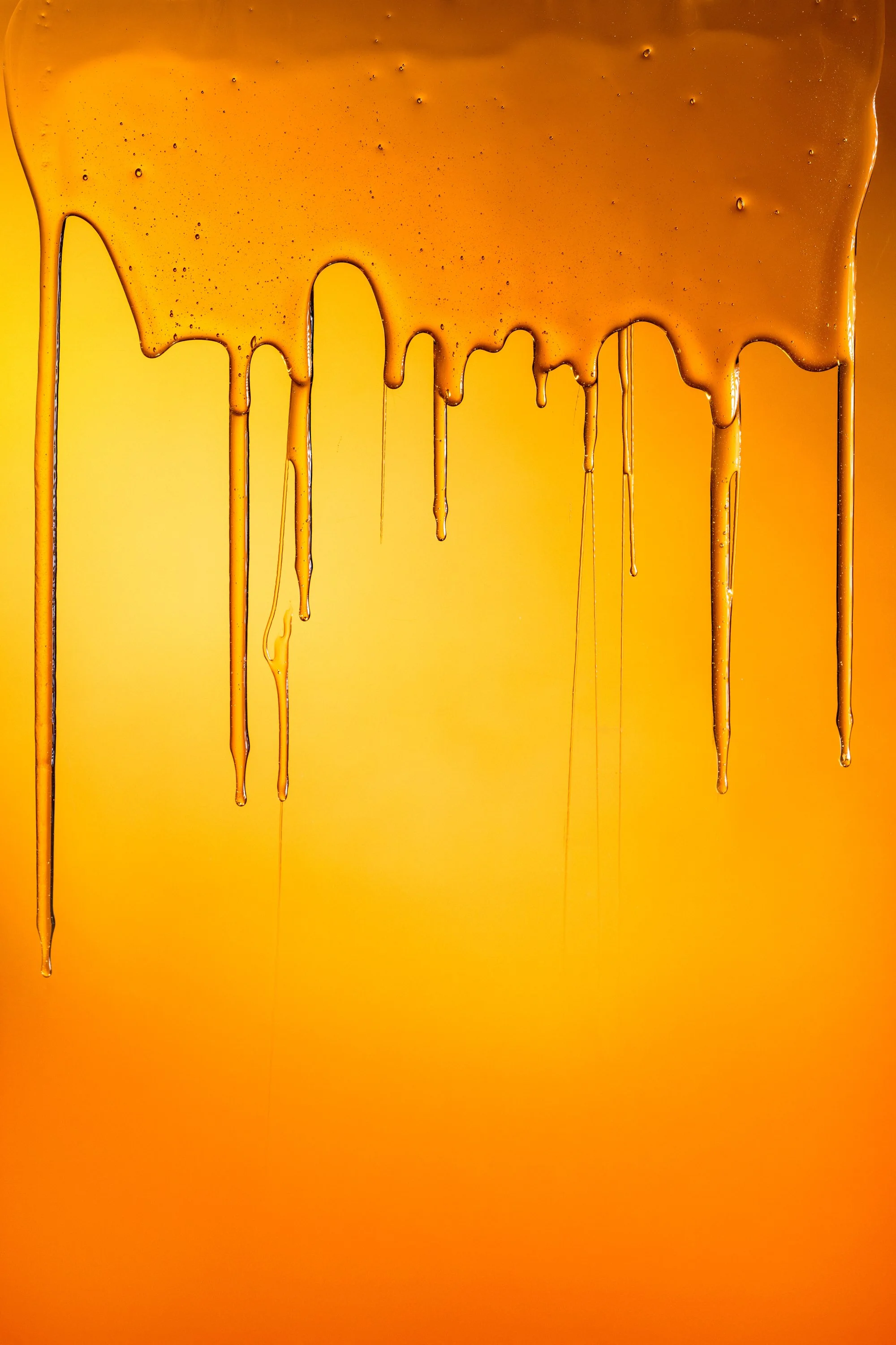 JordanHefler_InRegisterBeeFeature_EditorialPhotography__4.jpg