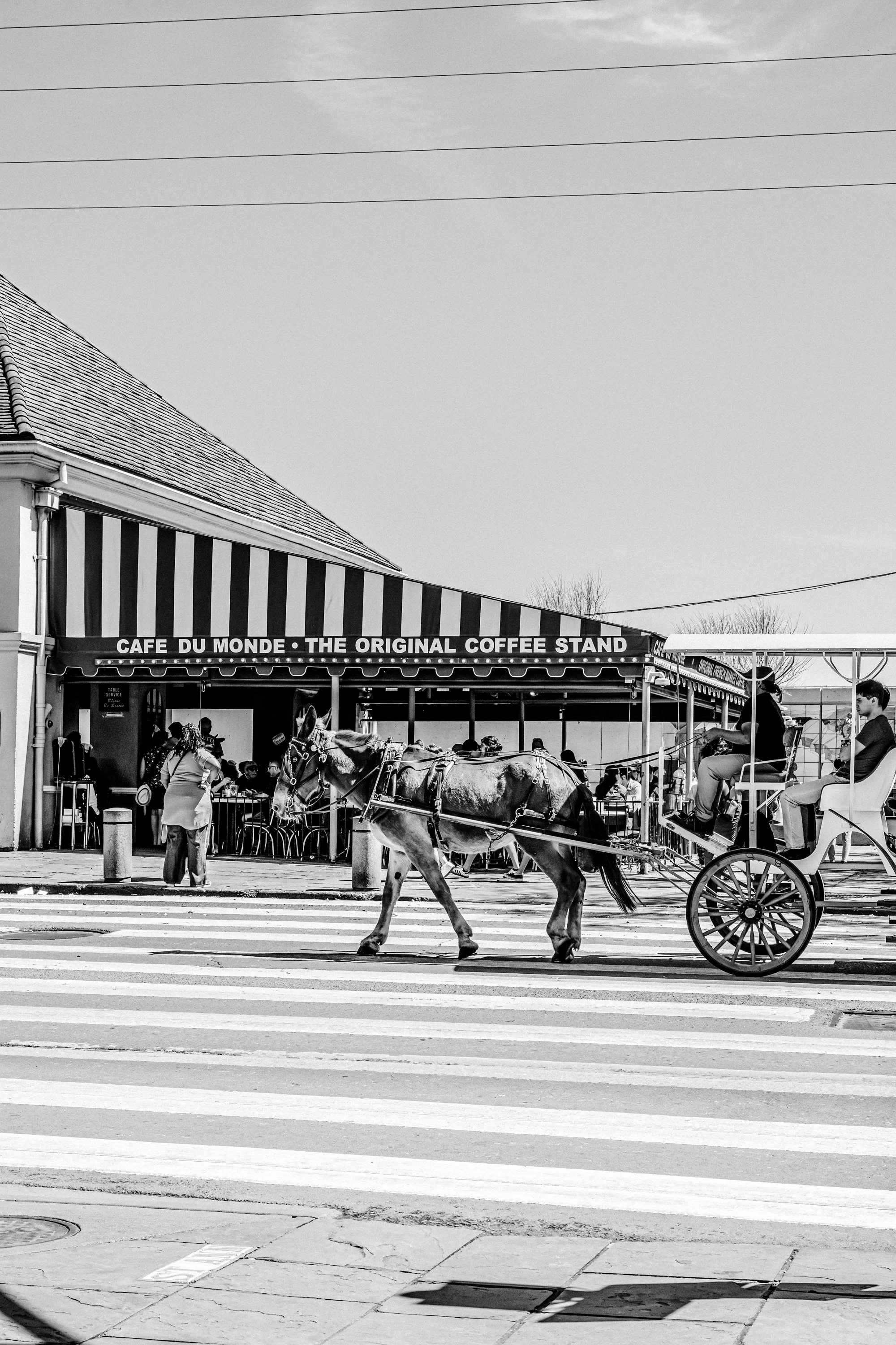 JordanHefler_CafeDuMonde_CommercialPhotography__51.jpg