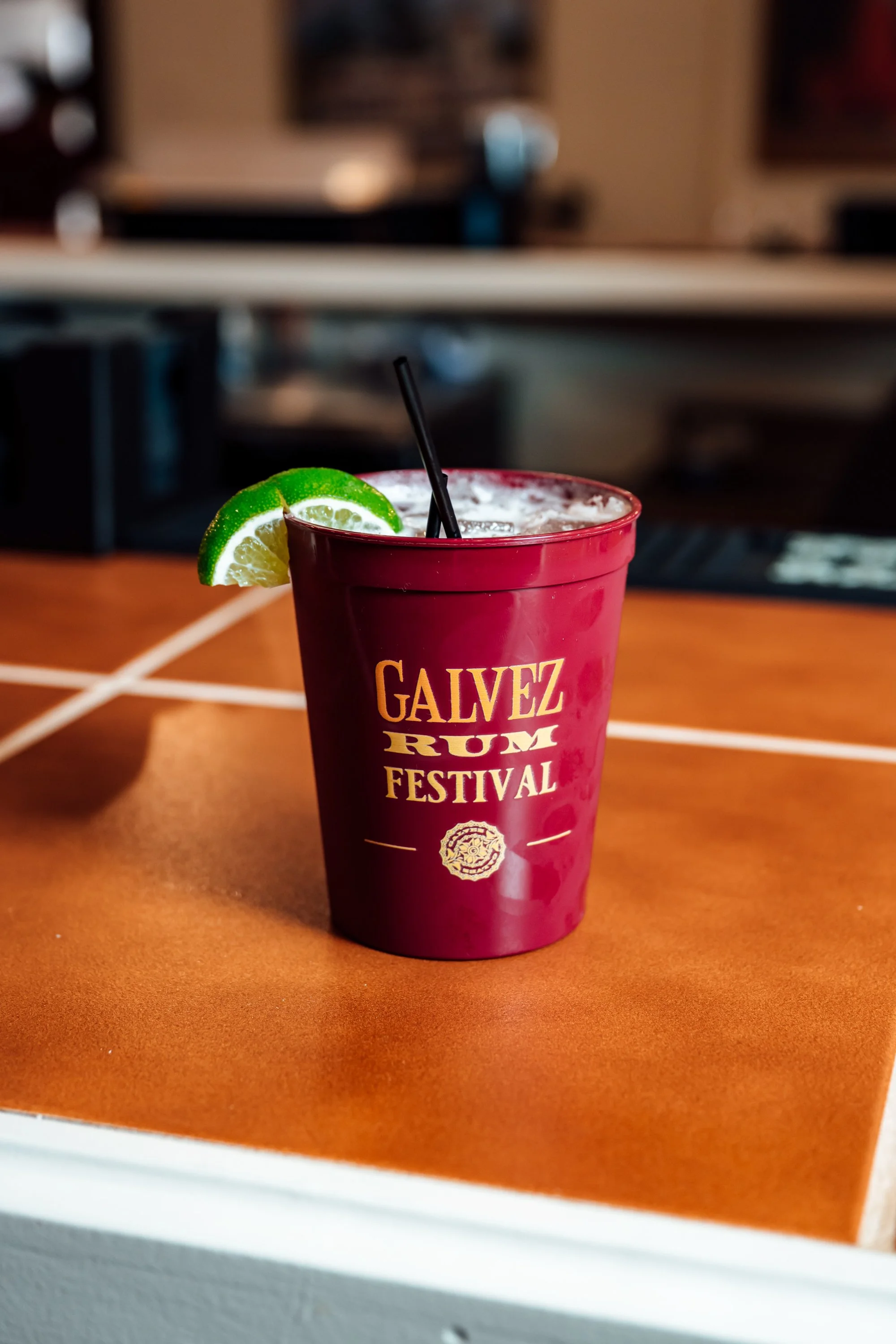 JordanHefler_GalvezRumFest_FestivalPhotography__8.jpg