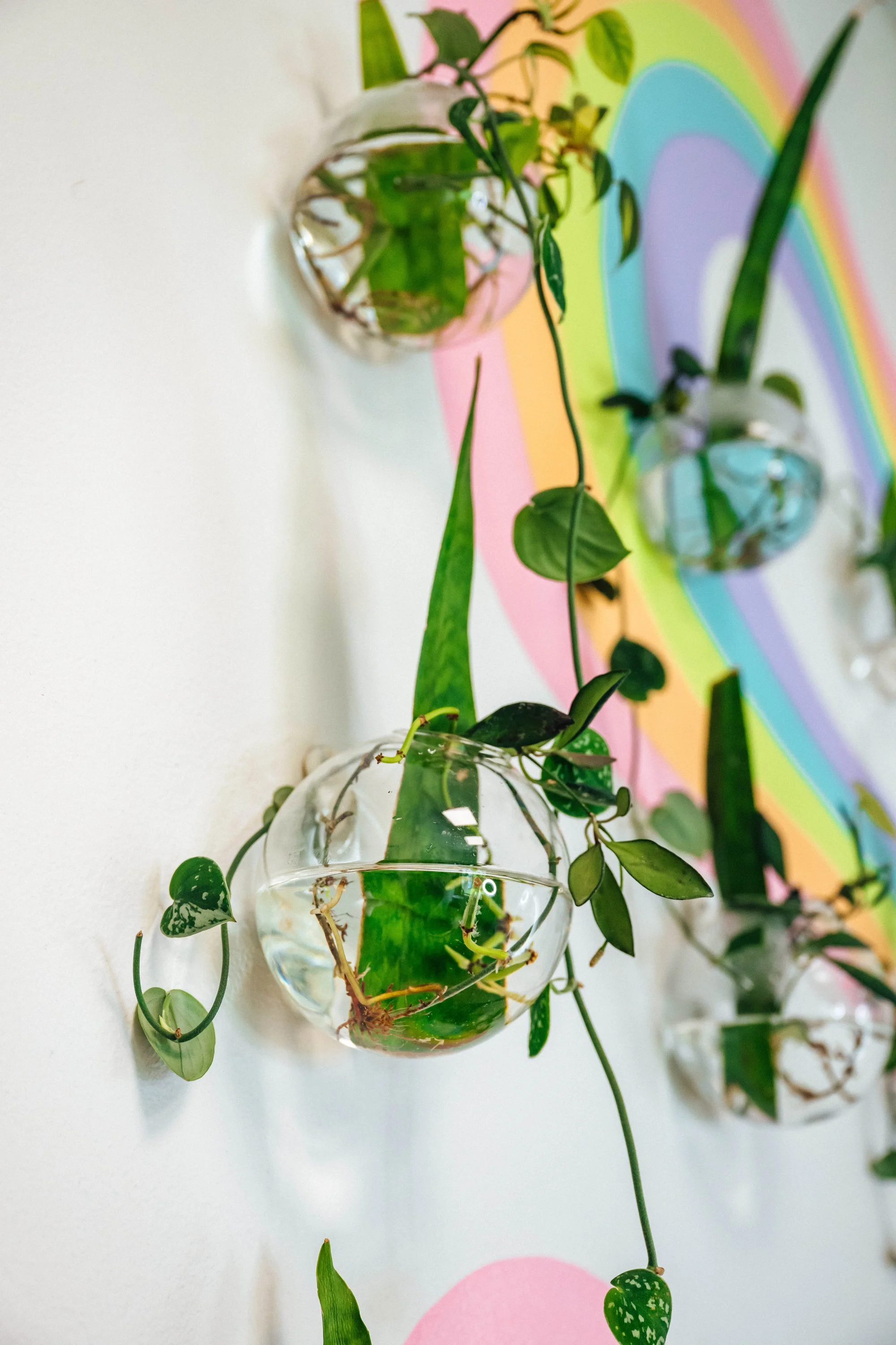JordanHefler_ProperSalon_CommercialPhotography__19.jpg