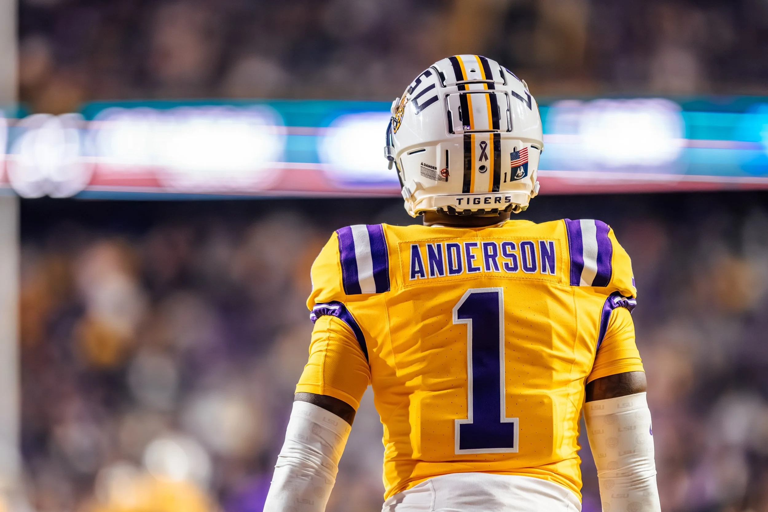 JordanHefler_LSUFootballvsVanderbilt_SportsPhotography__21.jpg