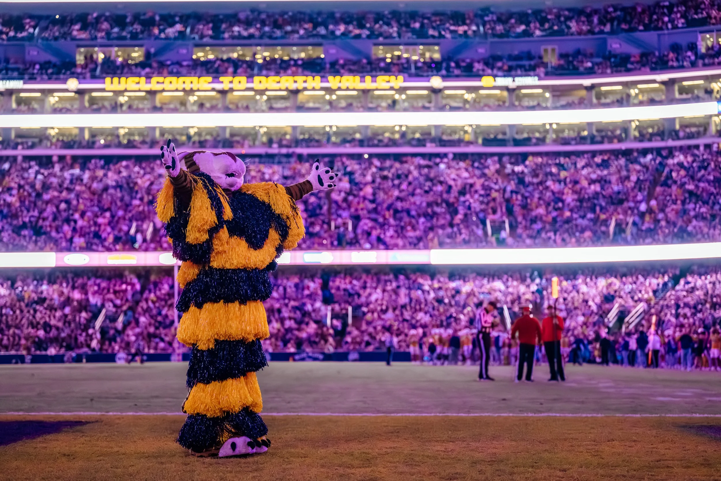 JordanHefler_LSUFootballvsVanderbilt_SportsPhotography__41.jpg