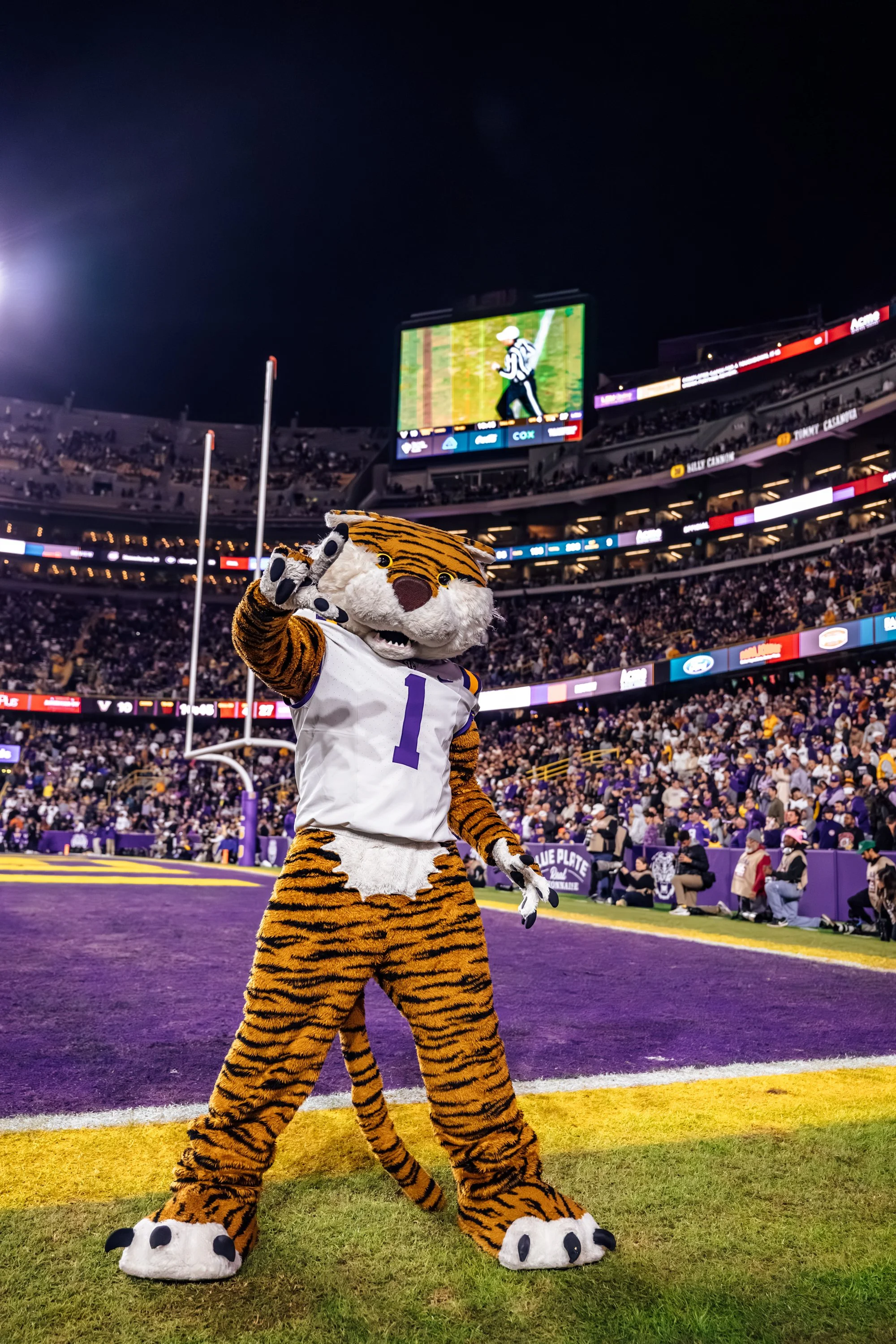 JordanHefler_LSUFootballvsVanderbilt_SportsPhotography__64.jpg