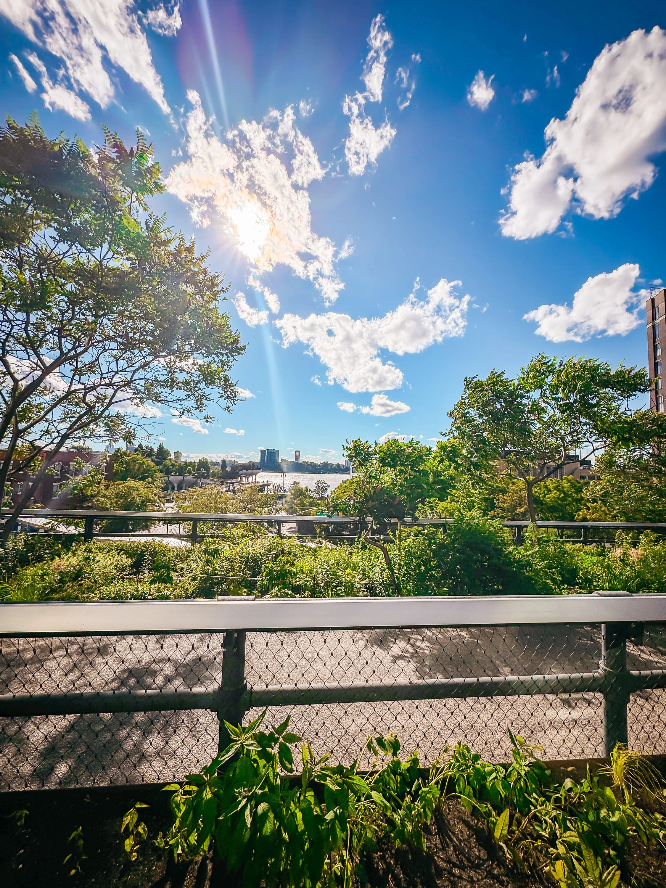5 DAYS IN NEW YORK CITY | WHAT TO DO, WHERE TO GO |  THE HIGH LINE