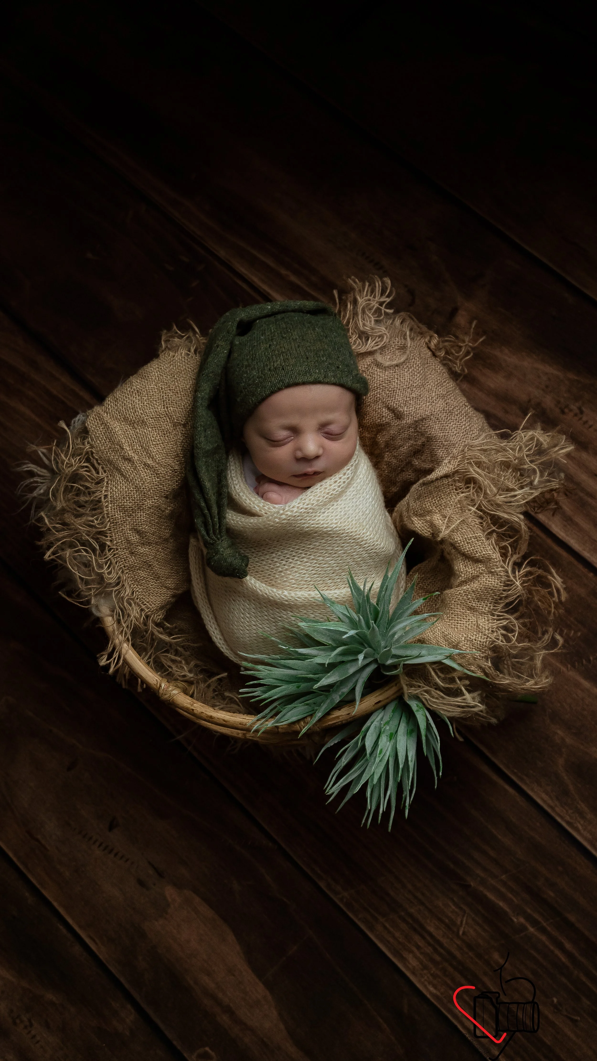 cute newborn photo green and neutral theme