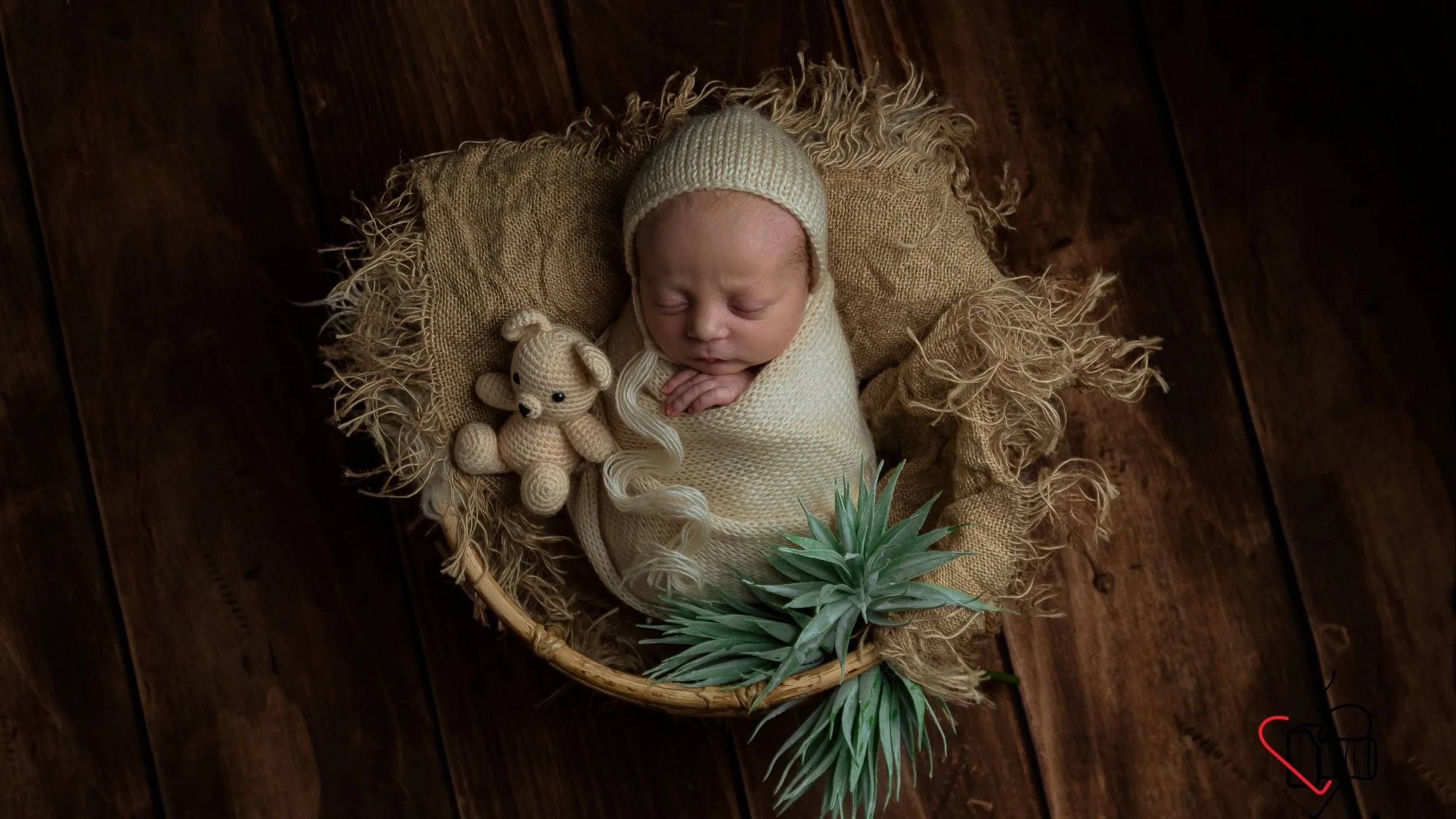 cute newborn photoshoot with teddy bear, neutral theme