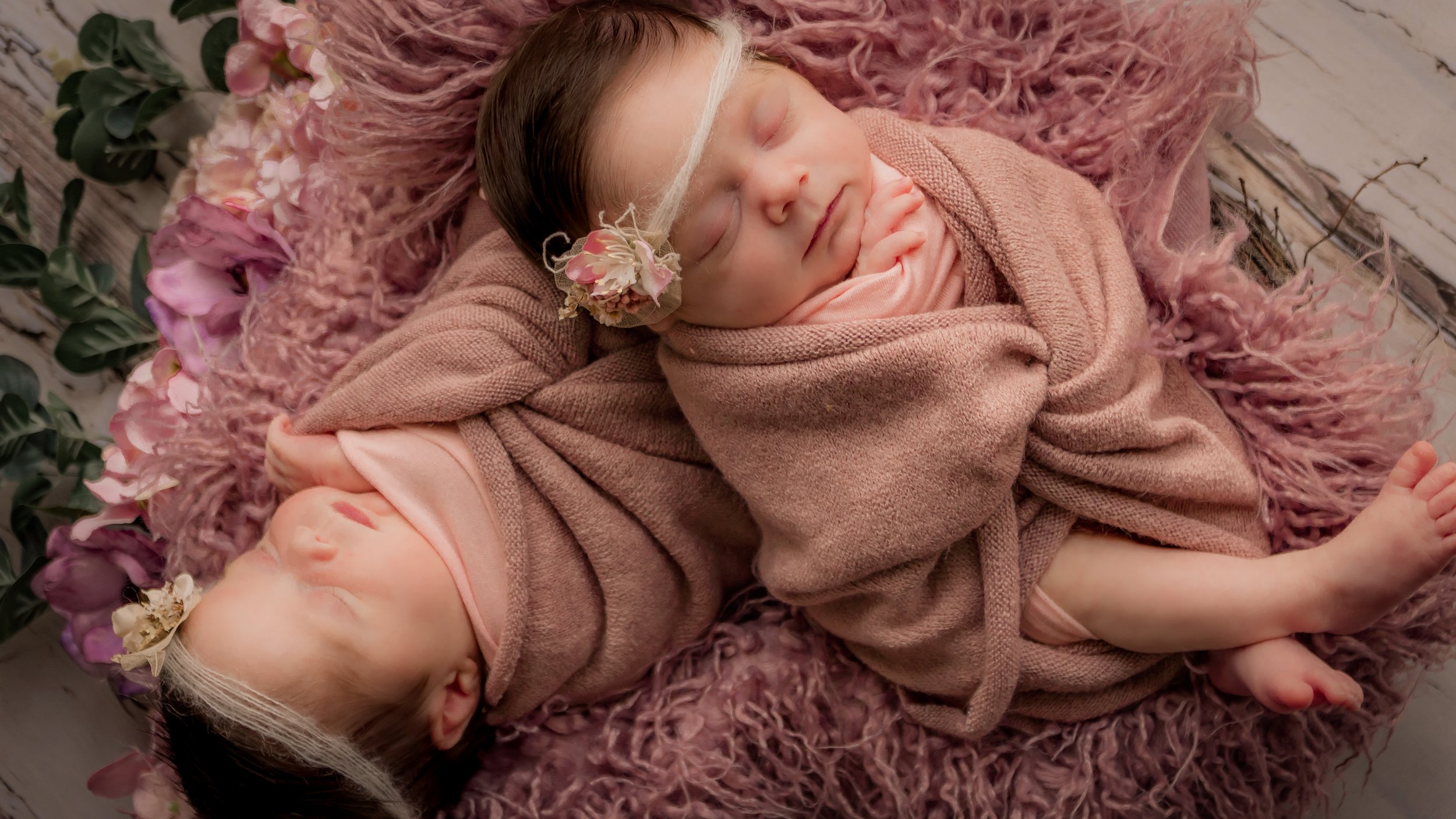 twin girls photoshoot, pink color theme, Hampshire and West Sussex, Emsworth, Chichester
