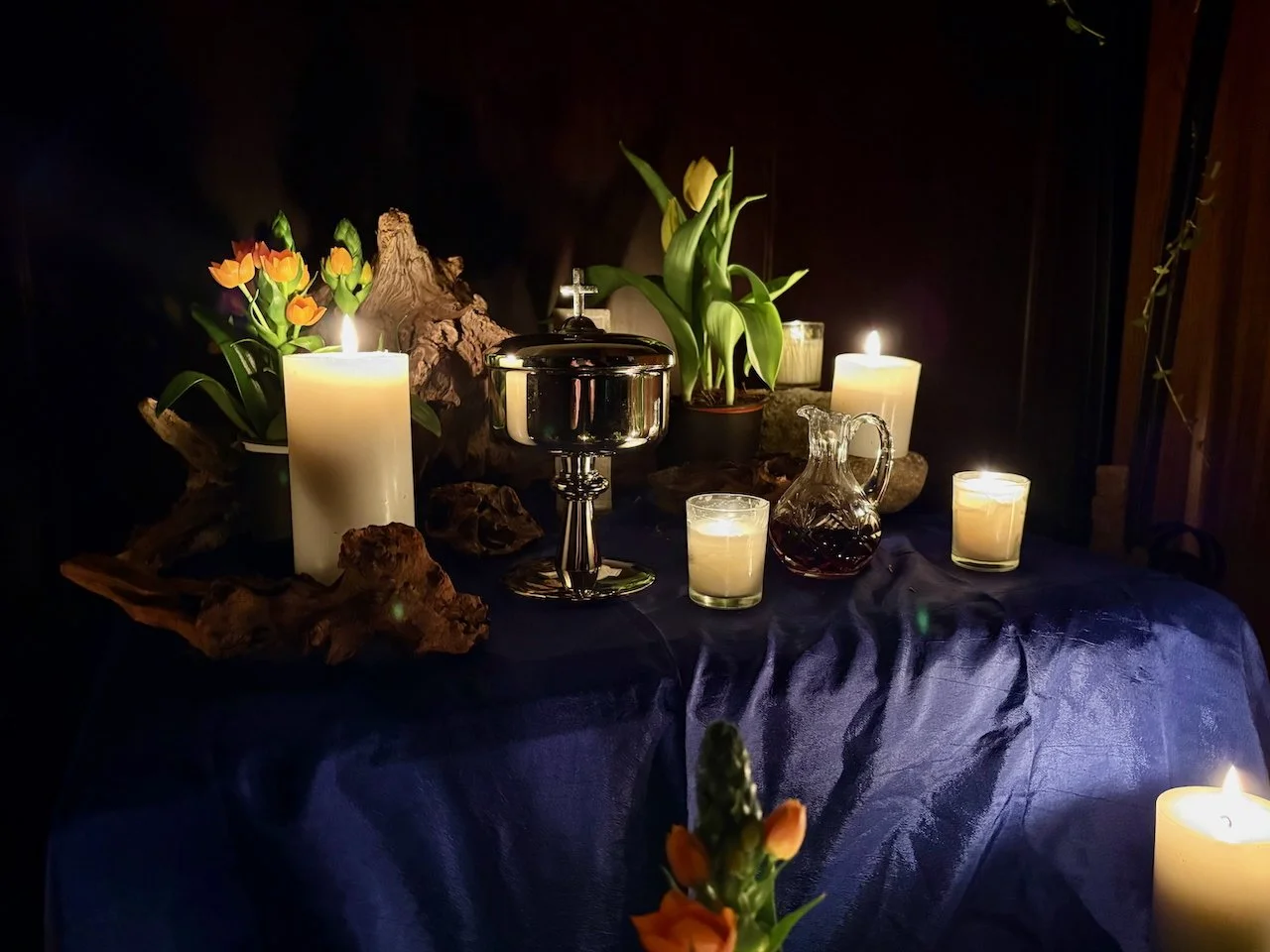 Garden of Repose 2025.jpeg