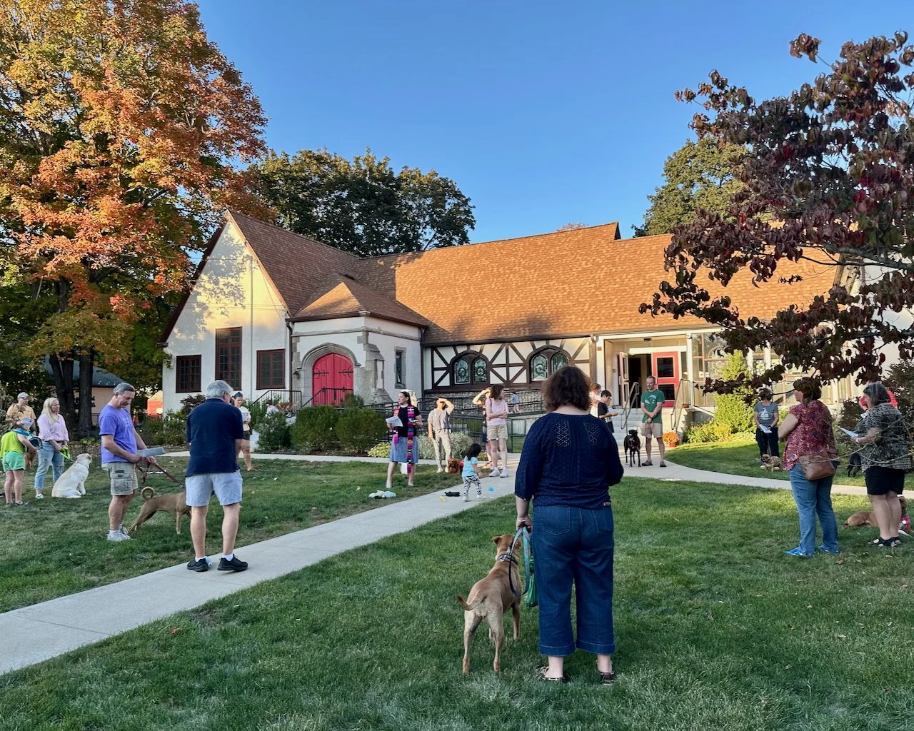 Animal Blessing 2025.jpeg