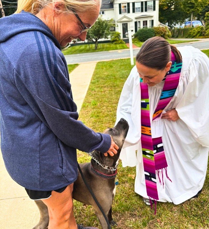 Yesterday, 25 people gathered to celebrate St. Francis and bless the animals who bring so much joy and companionship into our lives.

We had 19 dogs, 5 chickens, a horse, and photos of cats&mdash;quite the menagerie! 🐶🐔🐴🐱❤️

Thank you to everyone