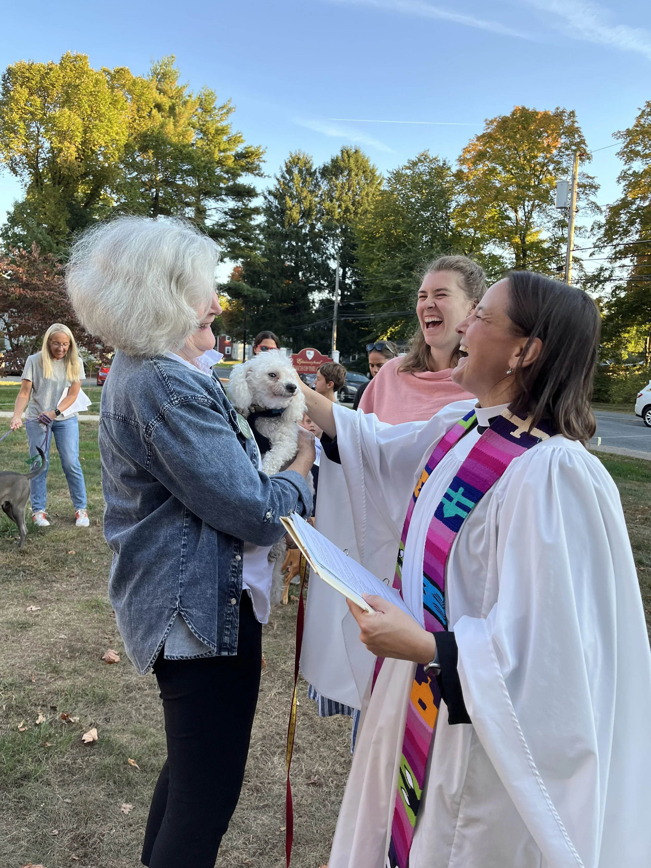 animal blessing 2024.jpeg