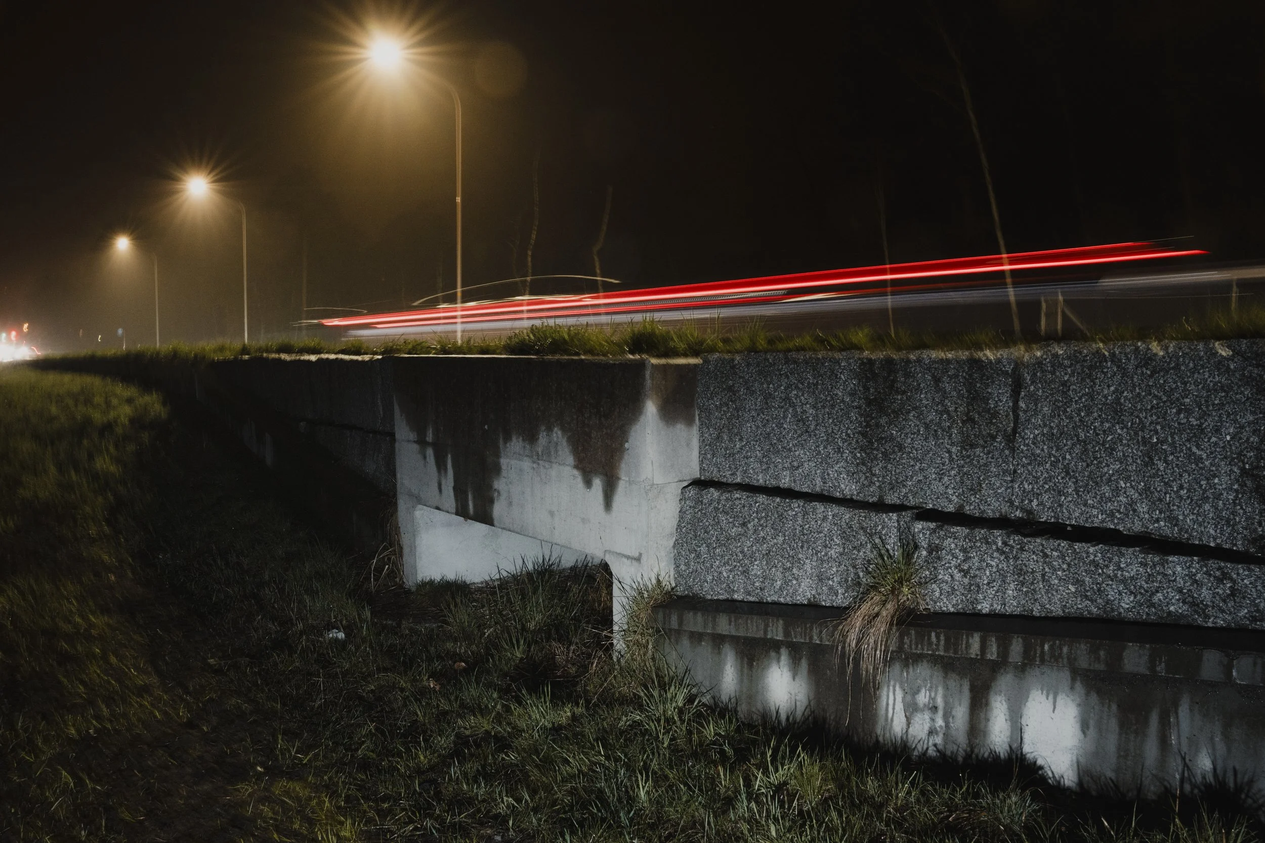 Risky Routes Jonas Steiner Amphibienwanderung Amphibiendurchlass