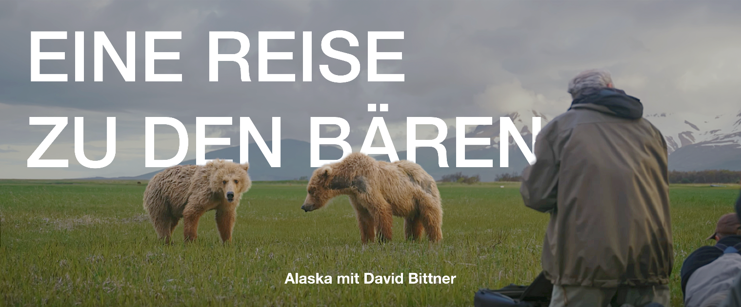 EINE REISE ZU DEN BÄREN, Alaska mit David Bittner. Bear, Alaska, wildlife, tourism, conservation, 	
Jonas Steiner environmental scientist, filmmaker, underwater photographer